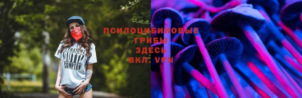 винт Сибай