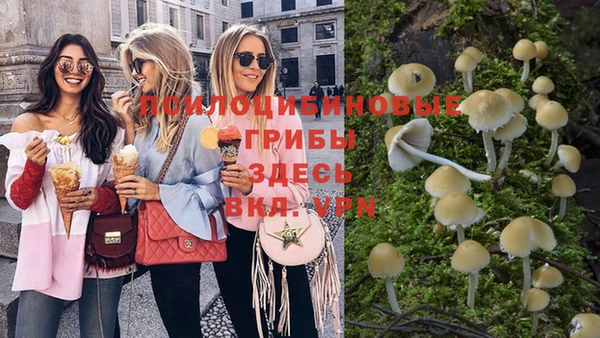 прущая мука Новодвинск