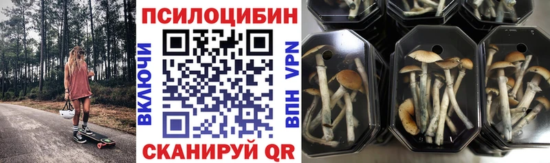 Псилоцибиновые грибы ЛСД  купить  сайты  Ленск 
